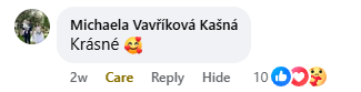 Recenzia na Facebooku 3